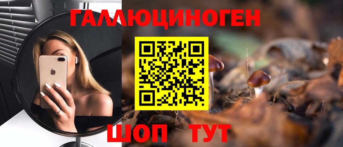 дарнет шоп  Псилоцибиновые грибы MAGIC MUSHROOMS  Вход с VPN  Волоколамск 